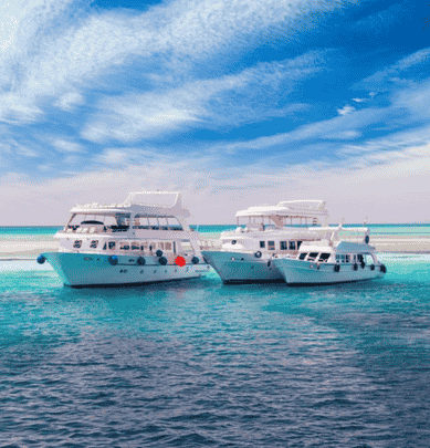 Boat Trips