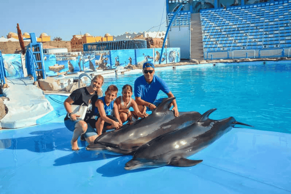 Family Attractions