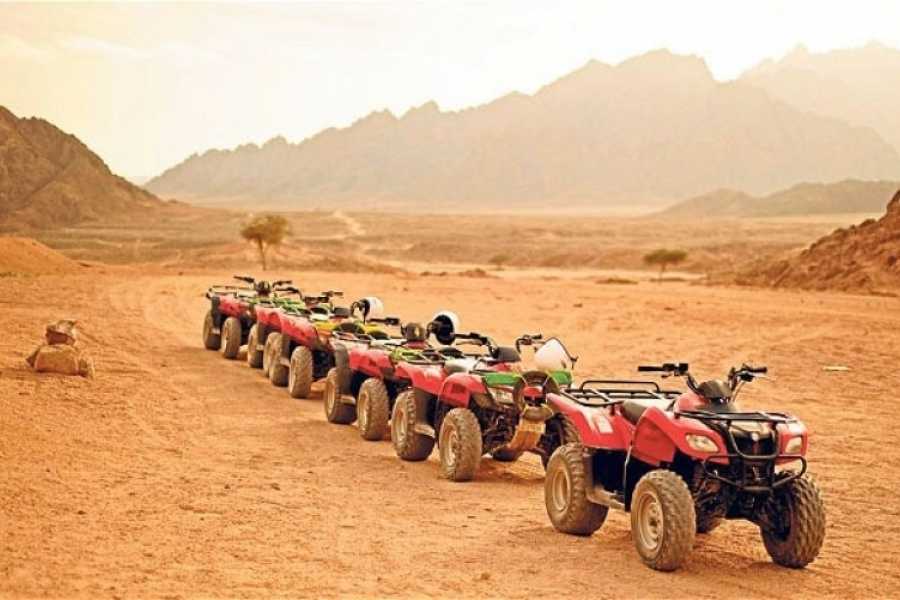 safari trip in hurghada 2